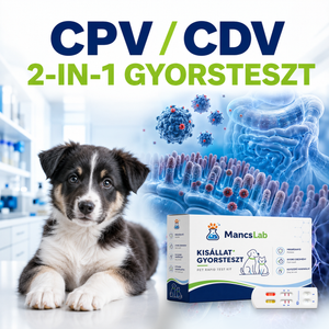 CPV/CDV Ag Kombó – 2-in-1 kutya gyorsteszt