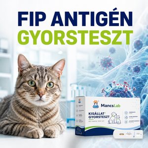 FIPV Ag – Macska FIP antigén gyorsteszt