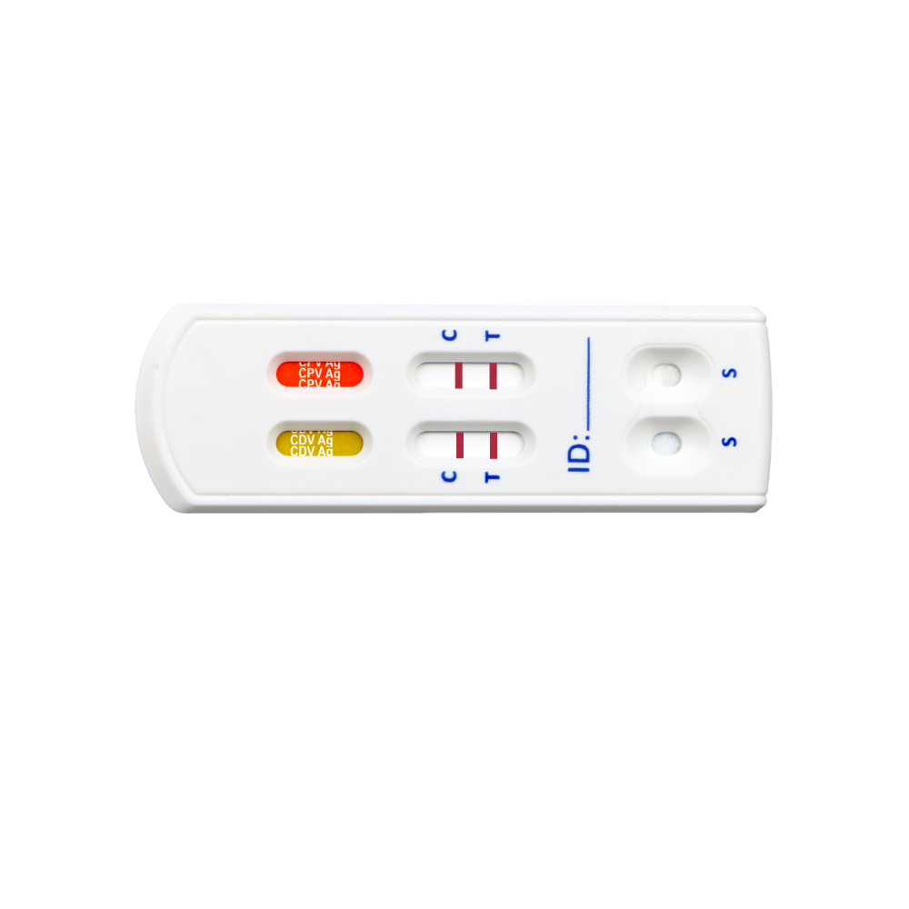 CPV/CDV Ag Kombó – 2-in-1 kutya gyorsteszt