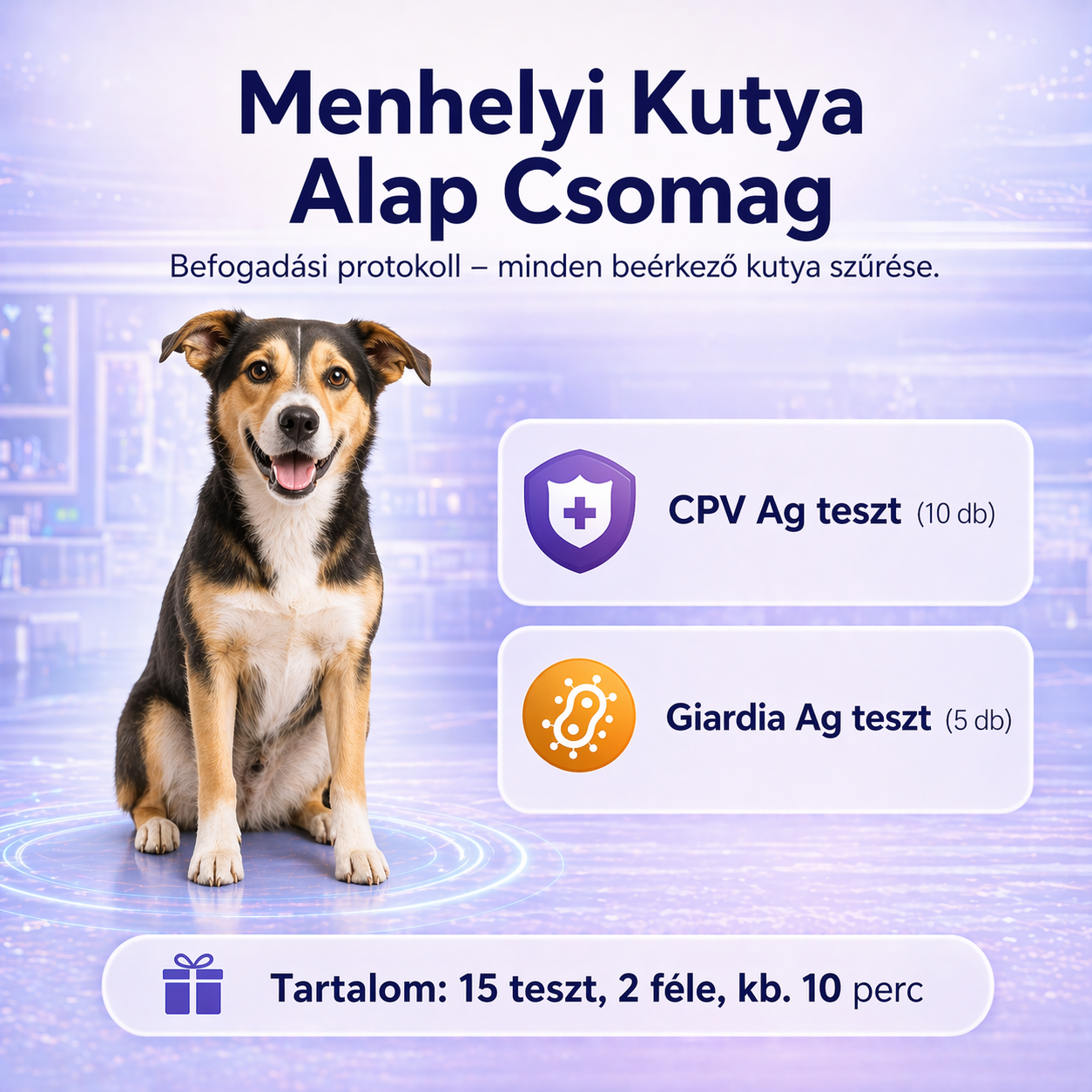 Menhelyi Kutya Alap Csomag