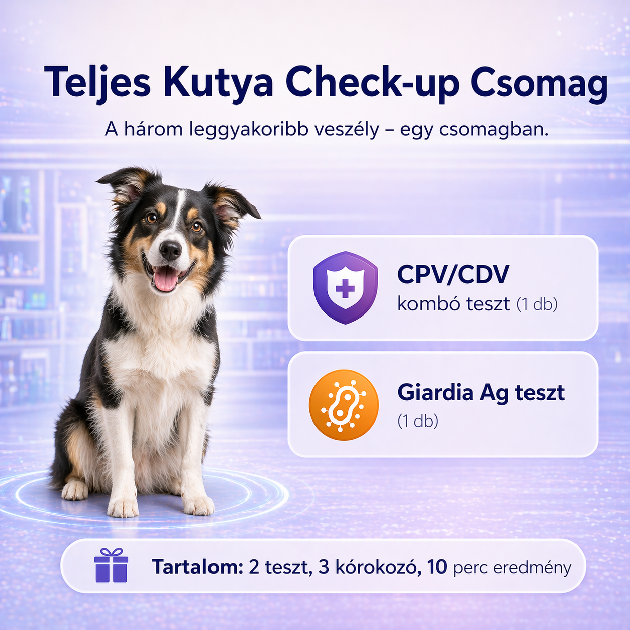 Teljes Kutya Check-up Csomag