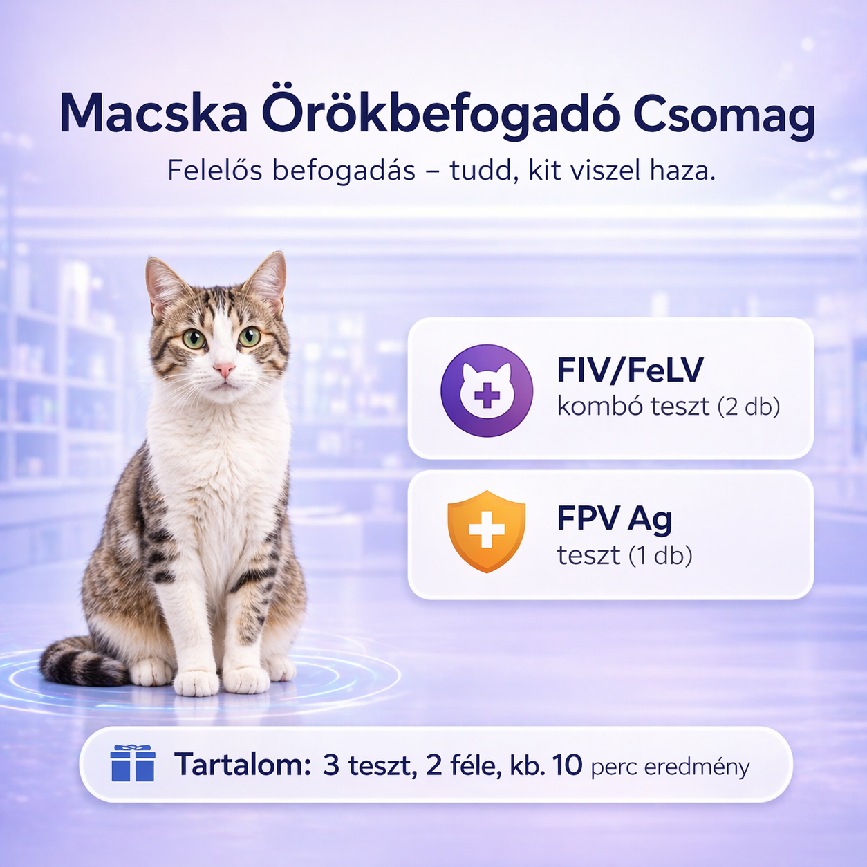 Macska Örökbefogadó Csomag