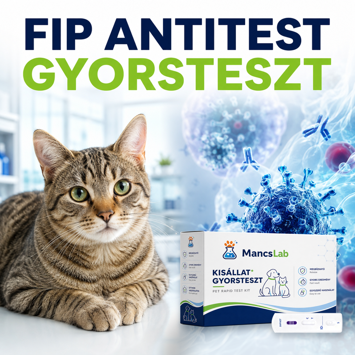 MancsLab FIPV Ab macskakoronavírus ellenanyag gyorsteszt – csomagolás és tesztkazetta