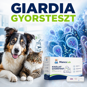Giardia Ag – Giardia antigén gyorsteszt kutyáknak és macskáknak
