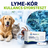 MancsLab Lyme-kór gyorsteszt eltávolított kullancshoz – csomagolás és tesztkazetta
