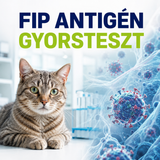 MancsLab FIP antigén gyorsteszt macskáknak – termékcsomagolás és tesztkazetta