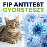 MancsLab FIP antitest gyorsteszt macskáknak – termékcsomagolás és tesztkazetta