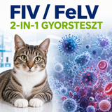 MancsLab FIV/FeLV kombinált gyorsteszt macskáknak – termékcsomagolás és tesztkazetta