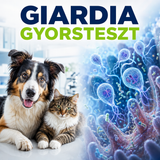 MancsLab Giardia antigén gyorsteszt kutyáknak és macskáknak – termékcsomagolás és tesztkazetta