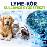 MancsLab Lyme-kór kullancs gyorsteszt eltávolított kullancshoz – termékcsomagolás és tesztkazetta